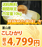 23�N�Y 1���� �x�R���@�����Ђ��� 10kg�y�I�ׂ����@�z  
���X�ʏ퉿�i: 6,600�~(�ō�) 
���i:  
 