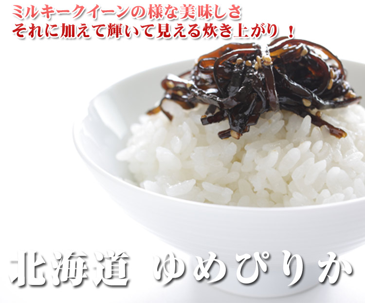 北海道 白米 1等米 ゆめぴりか 平成25年度