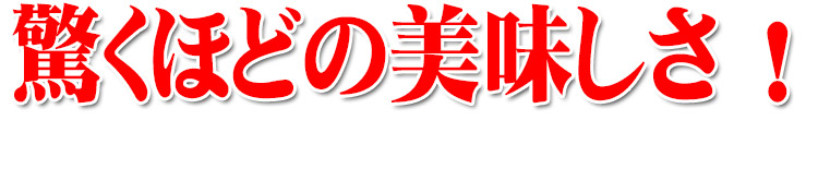 新米出荷 北海道 白米 玄米 1等米 ゆめぴりか 平成25年度