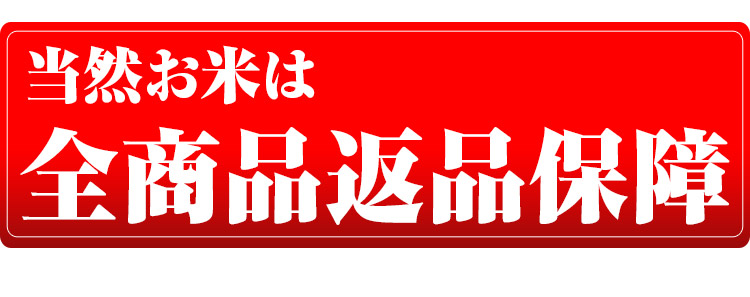 北海道 白米 玄米 1等米 ゆめぴりか 平成25年度