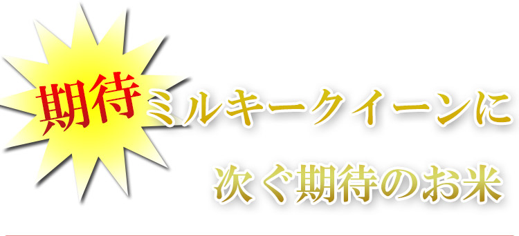 北海道 白米 玄米 1等米 ゆめぴりか 平成25年度