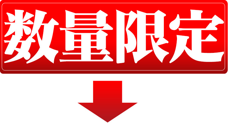北海道 白米 玄米 1等米 ゆめぴりか 平成25年度