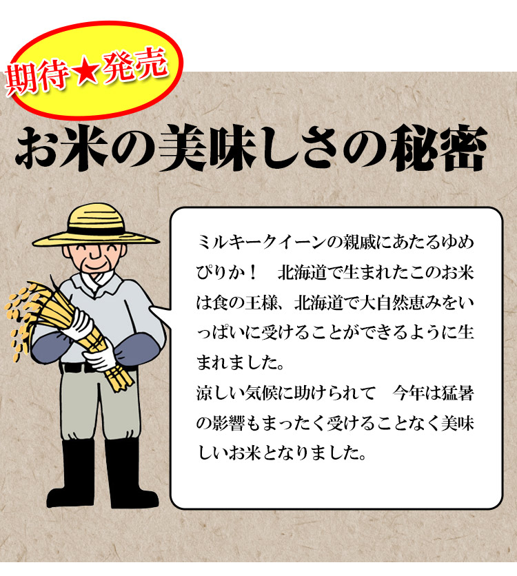 北海道 白米 玄米 1等米 ゆめぴりか 平成25年度