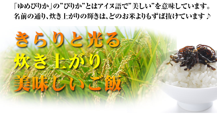 北海道 白米 玄米 1等米 ゆめぴりか 平成25年度