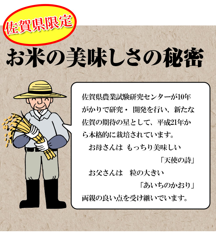 佐賀県 (選べる精米) 新米 1等 さがびより 5kg×2袋 平成25年度産