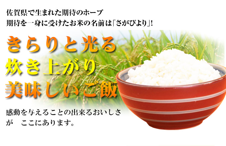 佐賀県 (選べる精米) 新米 1等 さがびより 5kg×2袋 平成25年度産