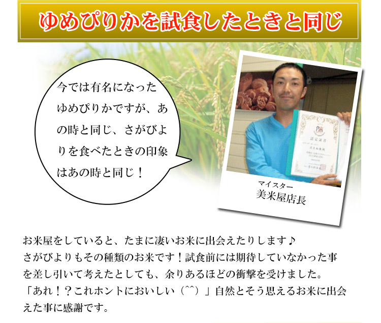 激安 特別価格