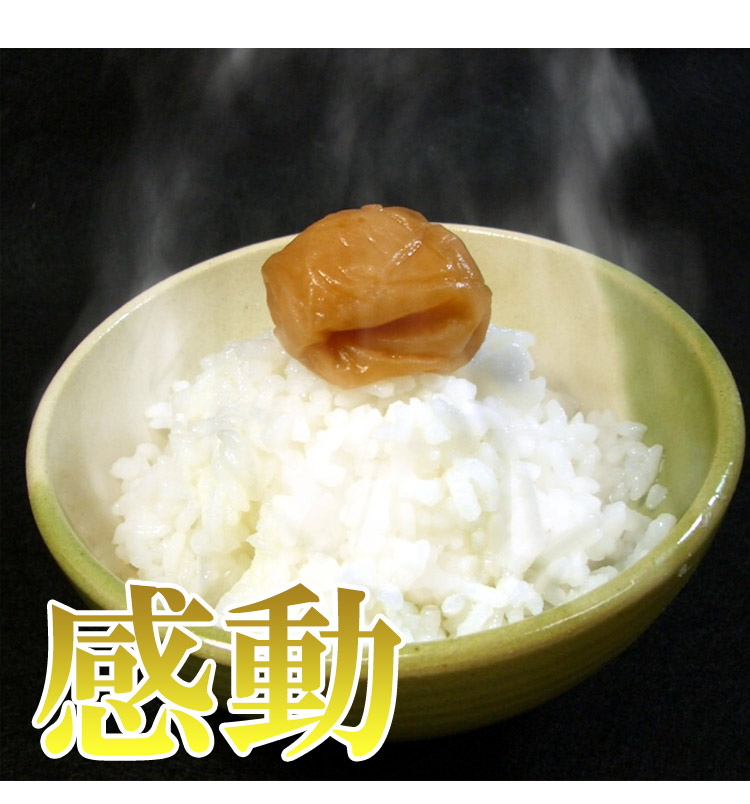 佐賀県 (選べる精米) 新米 1等 さがびより 5kg×2袋 平成25年度産