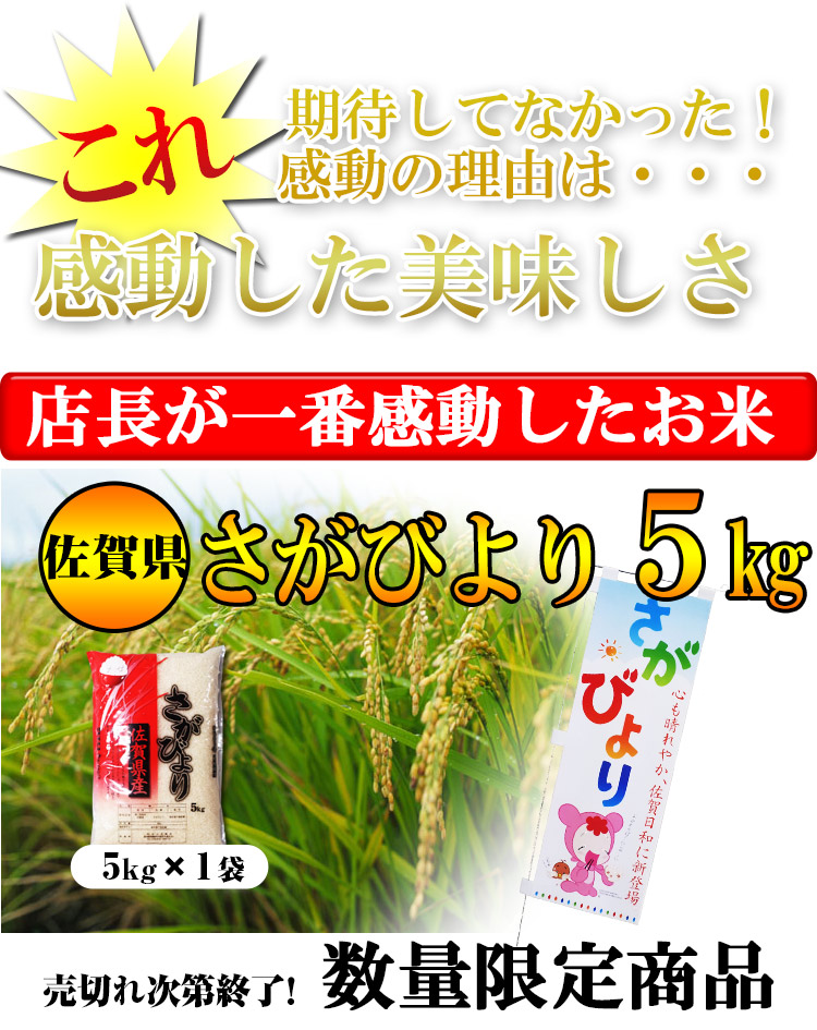 佐賀県 (選べる精米) 1等 さがびより 内容量5kg平成25年度産