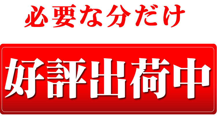 佐賀県 (選べる精米) 1等 さがびより 内容量5kg平成25年度産