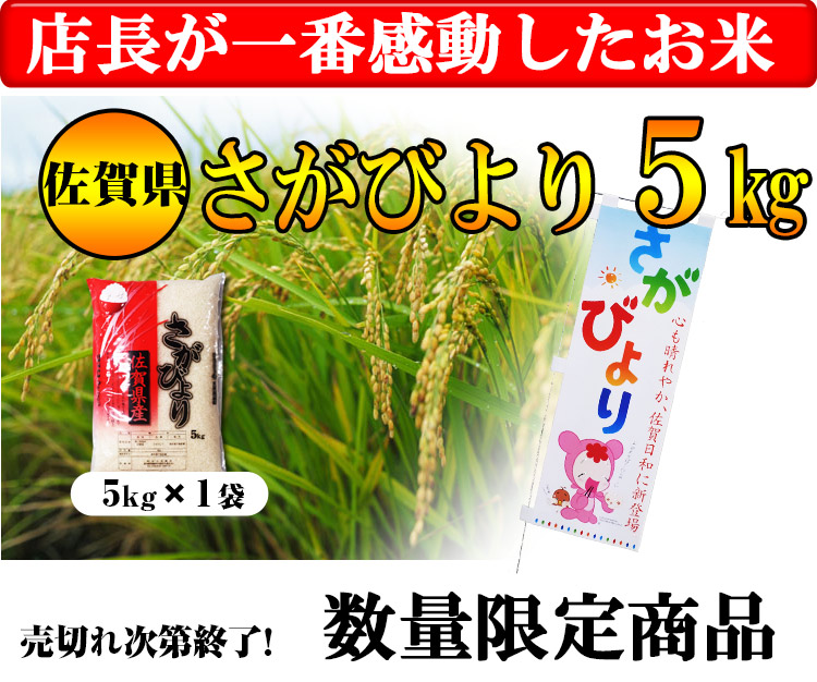 きらりと光るお米の秘密