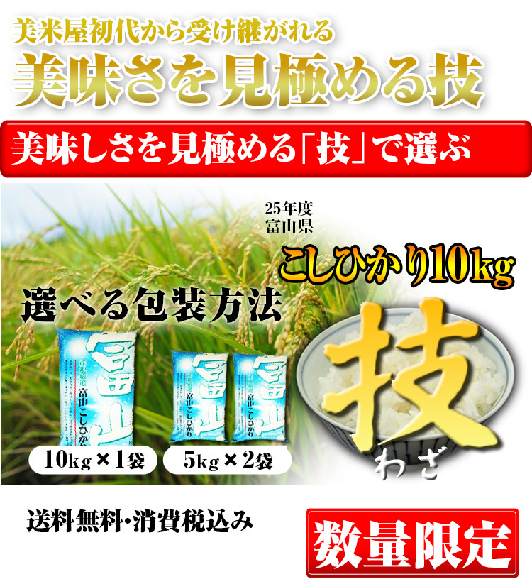 富山県 白米 こしひかり 10kg 平成25年度