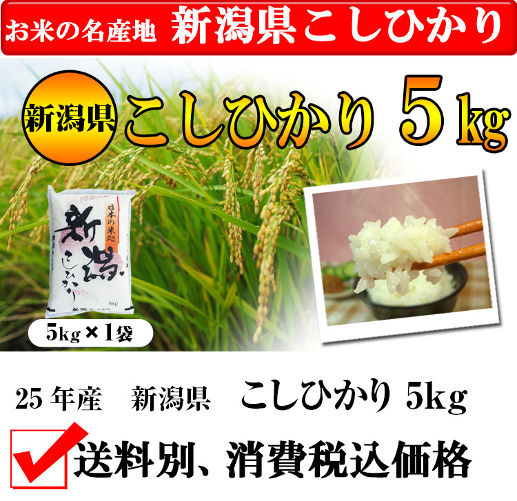全品返品保証