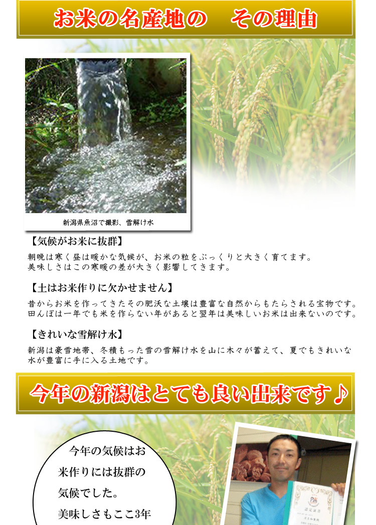 全品返品保証