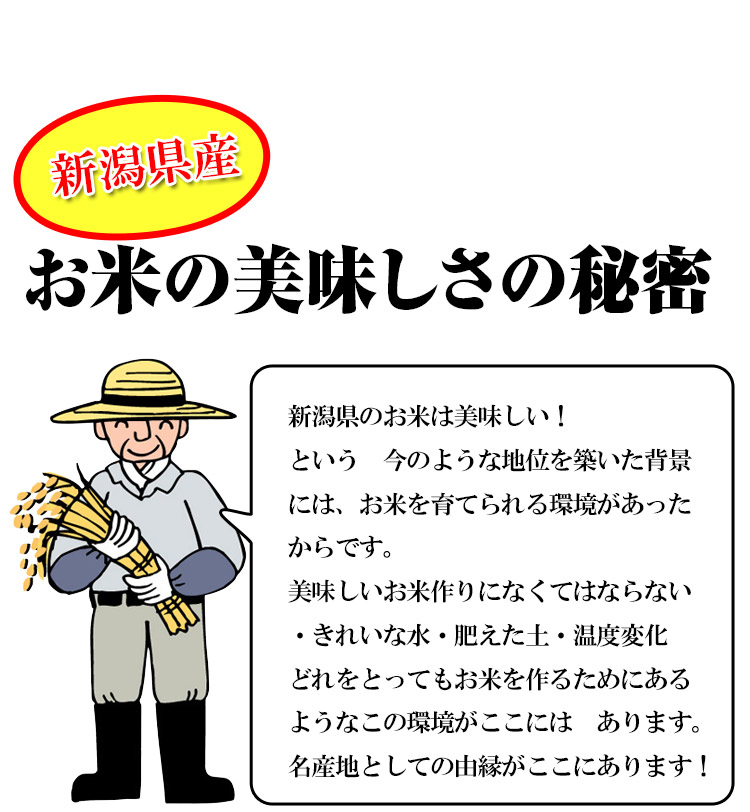 社長の精米にも力が入ります